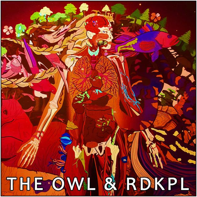 OWL101 - Split with RDKPL