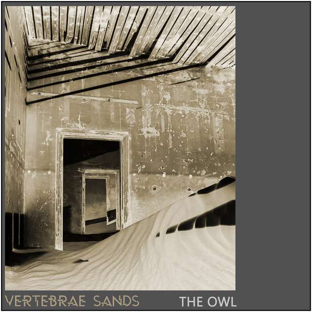 OWL122 - Vertebrae Sands